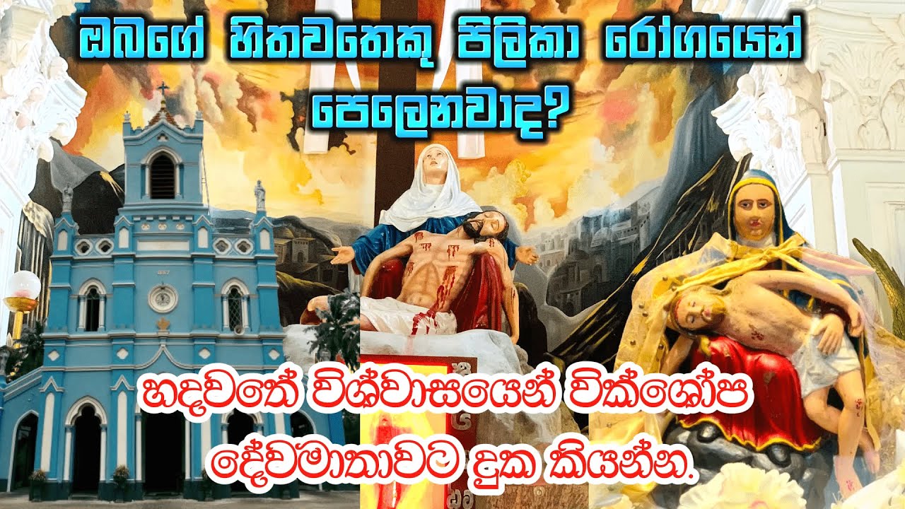 ඔබගේ හිතවතෙකු පිලිකා රෝගයෙන් පෙලෙනවාද? හදවතේ විශ්වාසයෙන්  වික්ශෝප දේවමාතාවට දුක කියන්න.