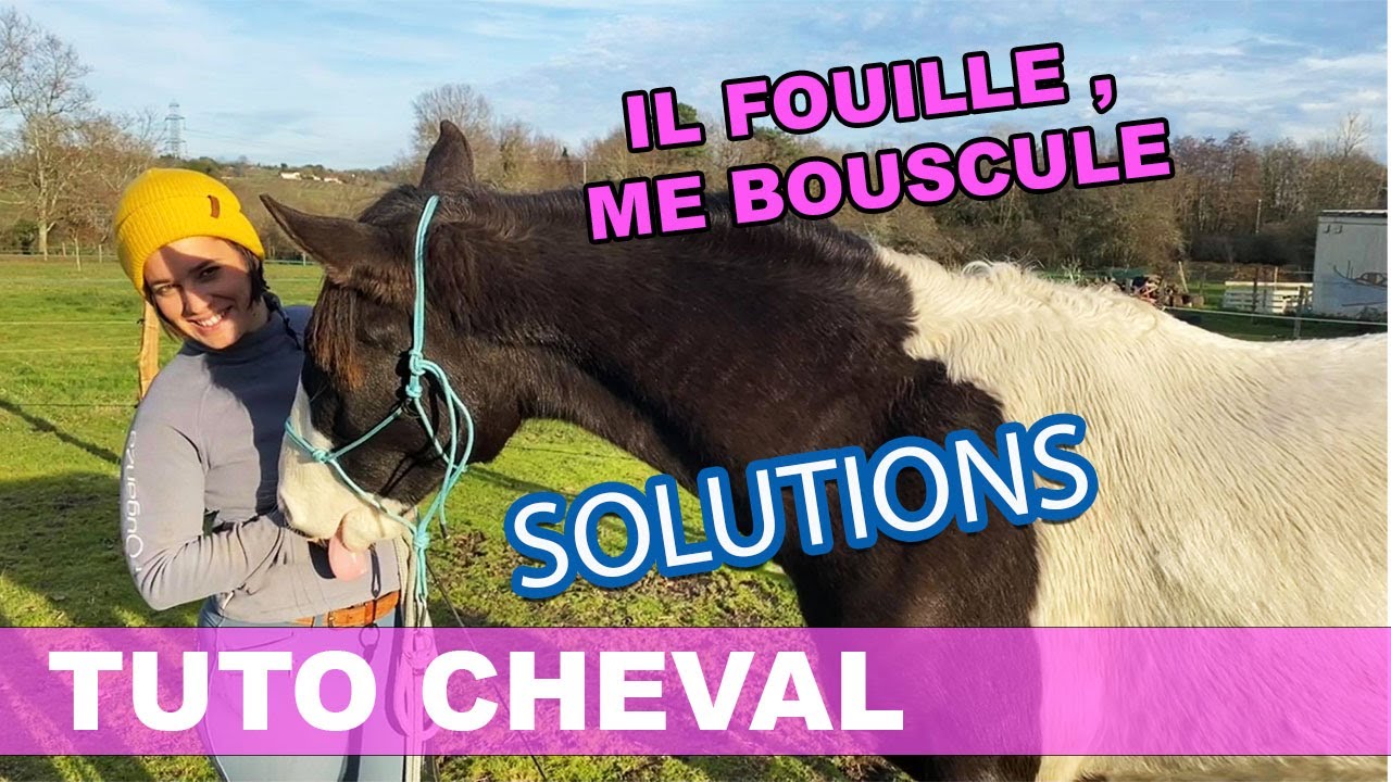 [TUTO CHEVAL] Mon cheval manque de respect à la friandise 😱😱😱