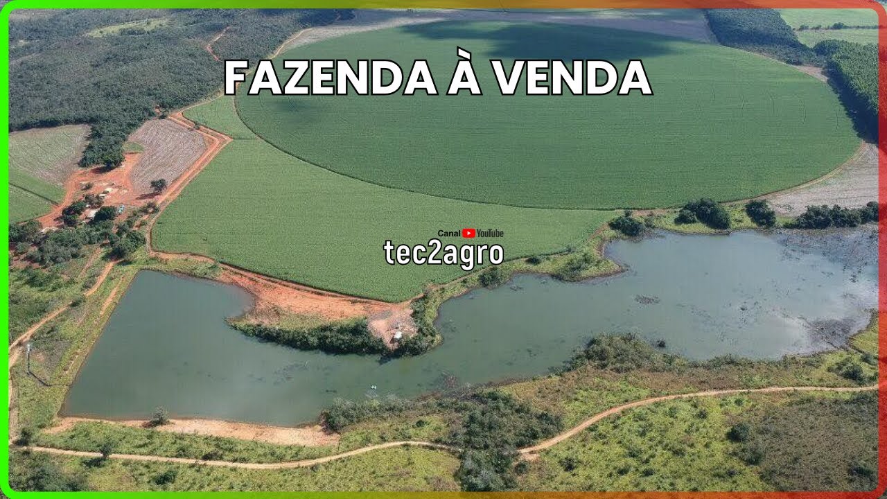 🌱 125 ALQUEIRES UNAÍ – FAZENDA À VENDA EM MIMAS GERAIS [🌱DUPLA APTIDÃO] #fazenda #tec2agro #agro