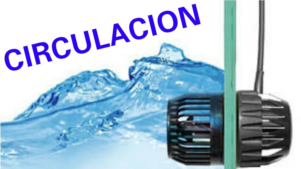 UNA BUENA CIRCULACION IGUAL A UN ACUARIO MARINO EXITOSO
