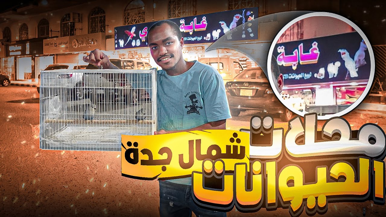 أسعار الطيور 2#