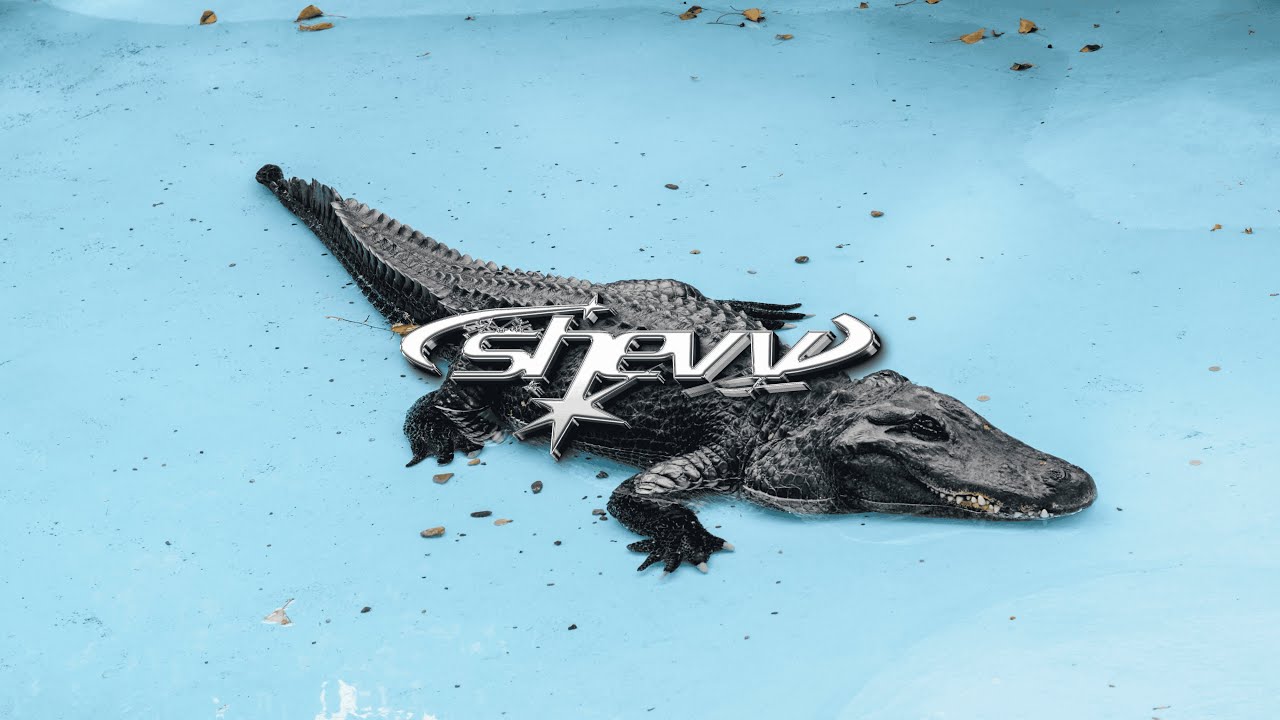[SOLD] CHEEMA Y TYPE BEAT - CROCODILE | FREESTYLE PUNJABI HIP-HOP BEATS INSTRUMENTAL 2025