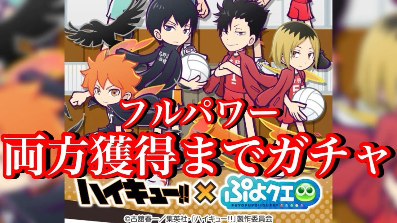 【ぷよクエ】フルパワー両方獲得までハイキューコラボガチャ回した結果！
