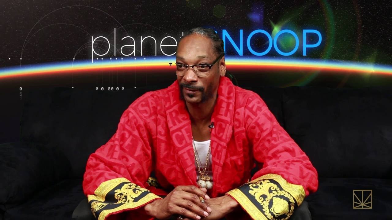 Unexpected Catfish | PLANET SNOOP