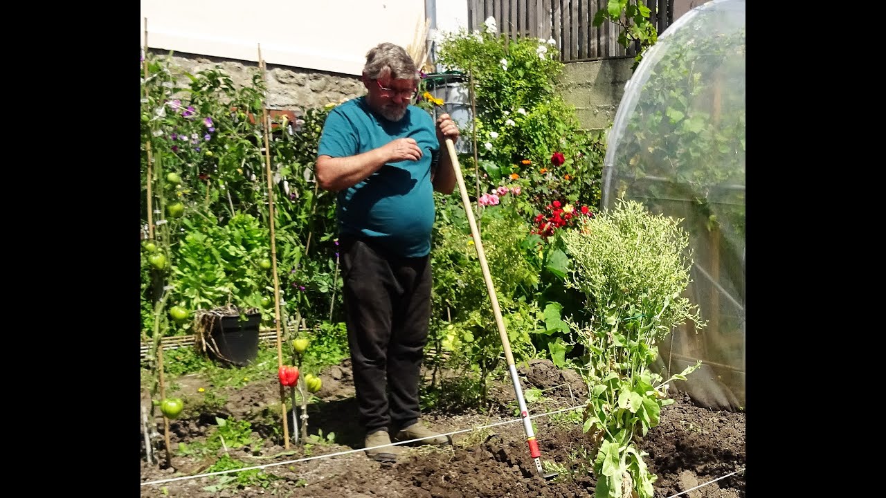 le 19/07/2021:Comment commencer un potager en juillet ?