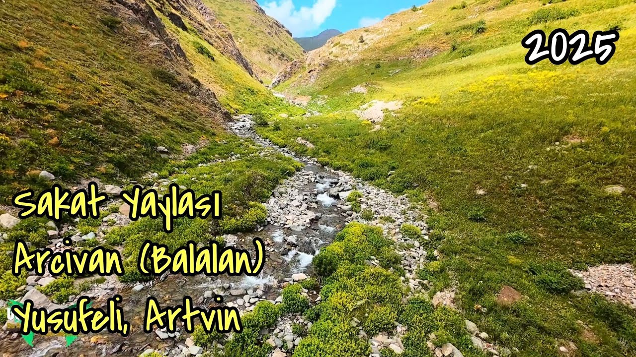 Sakat Yaylası, Arcivan (Balalan) Yusufeli Artvin 13-07-25