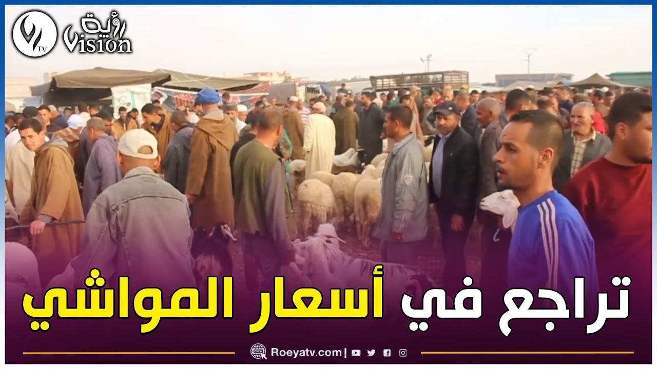 هذه أسعار المواشي من السوق الأسبوعي بـ "بيطام" في ولاية بريكة المنتدبة💰🐑🇩🇿