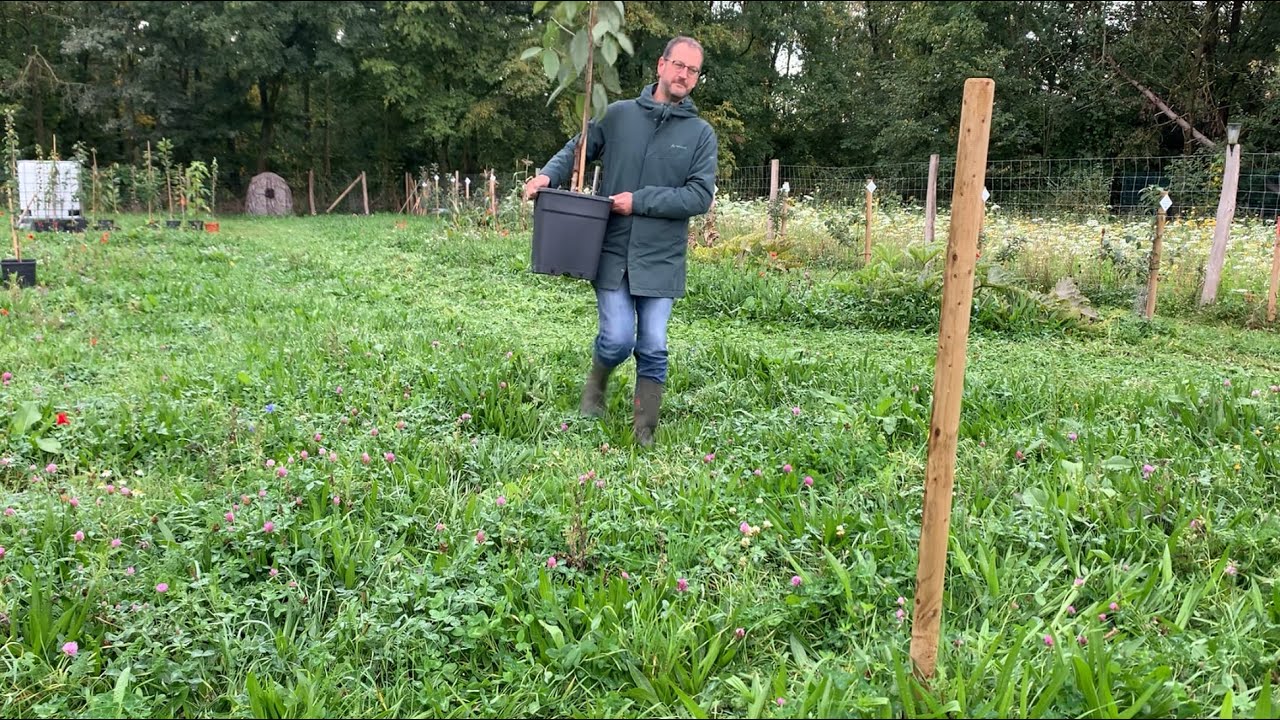 Für den Erhalt alter Obstsorten: Netzwerk Streuobstwiese zu Besuch bei Volker Nussbaum in Beckum