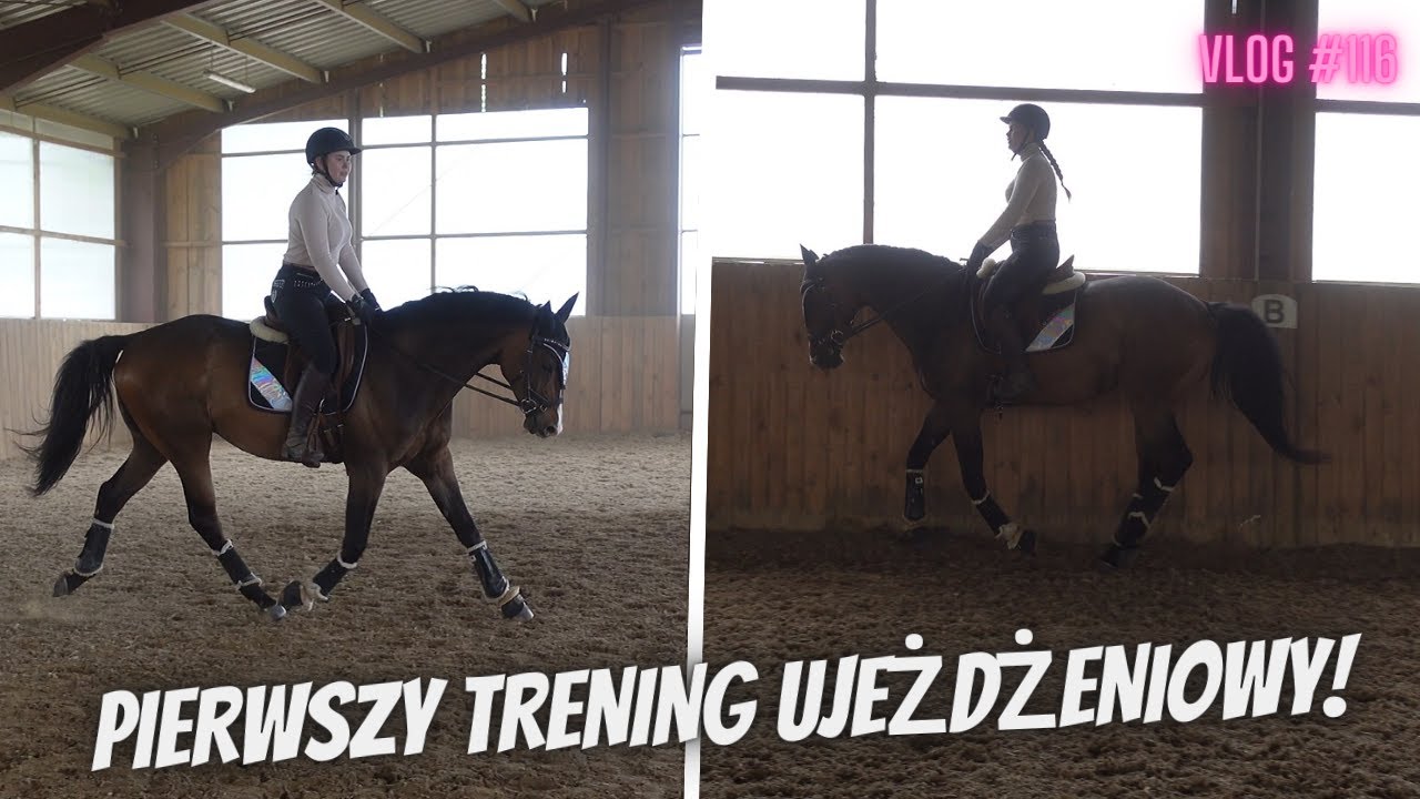 VLOG #116 |  PIERWSZY TRENING UJEŻDŻENIOWY!