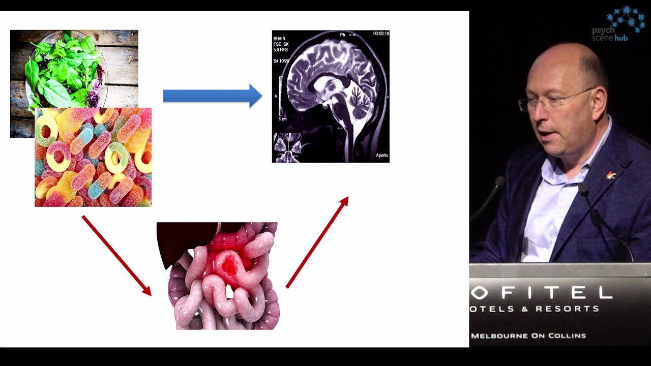 The Role of the Gut Microbiome and Diet in Depression | Gut-Brain Axis| - Prof Michael Berk