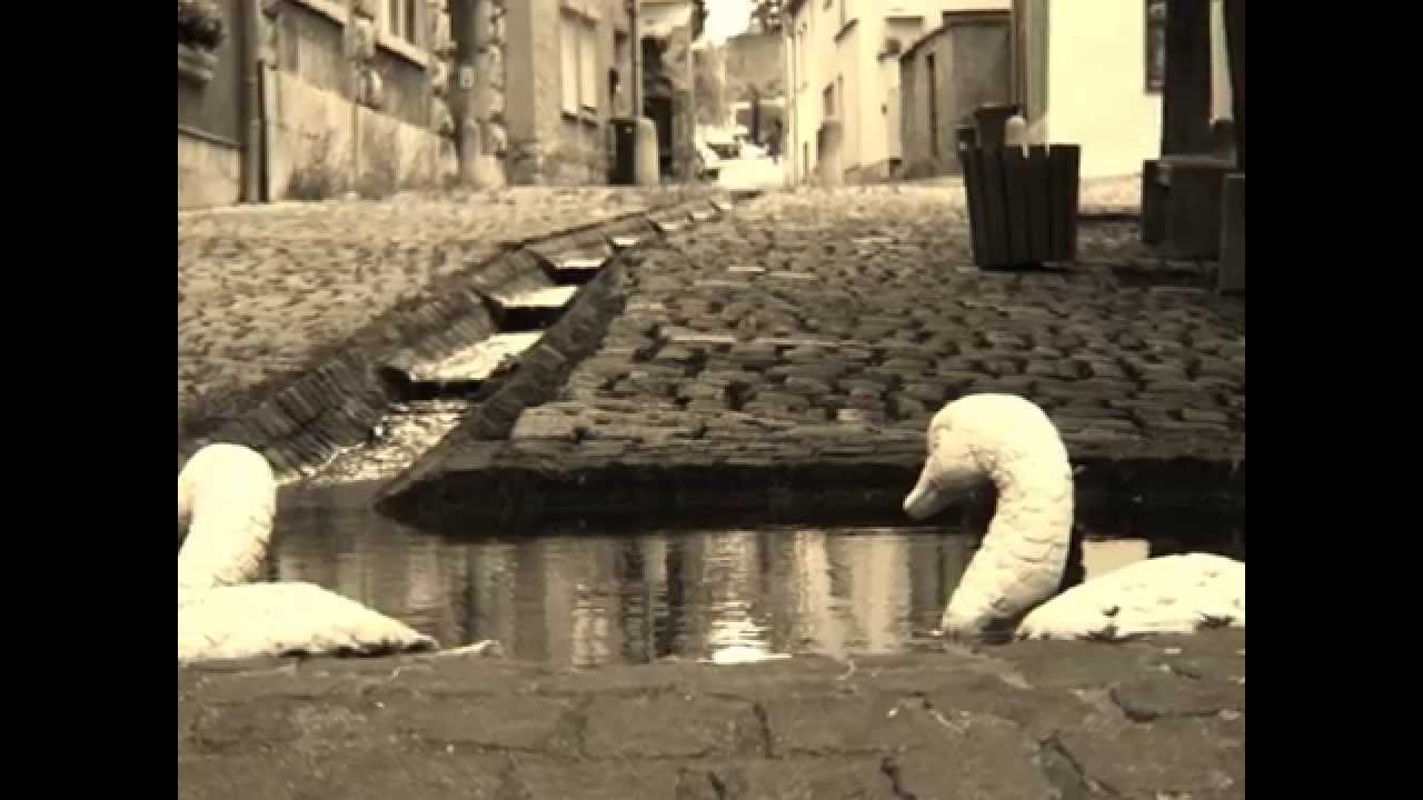 Apolda eine Stadt stirbt