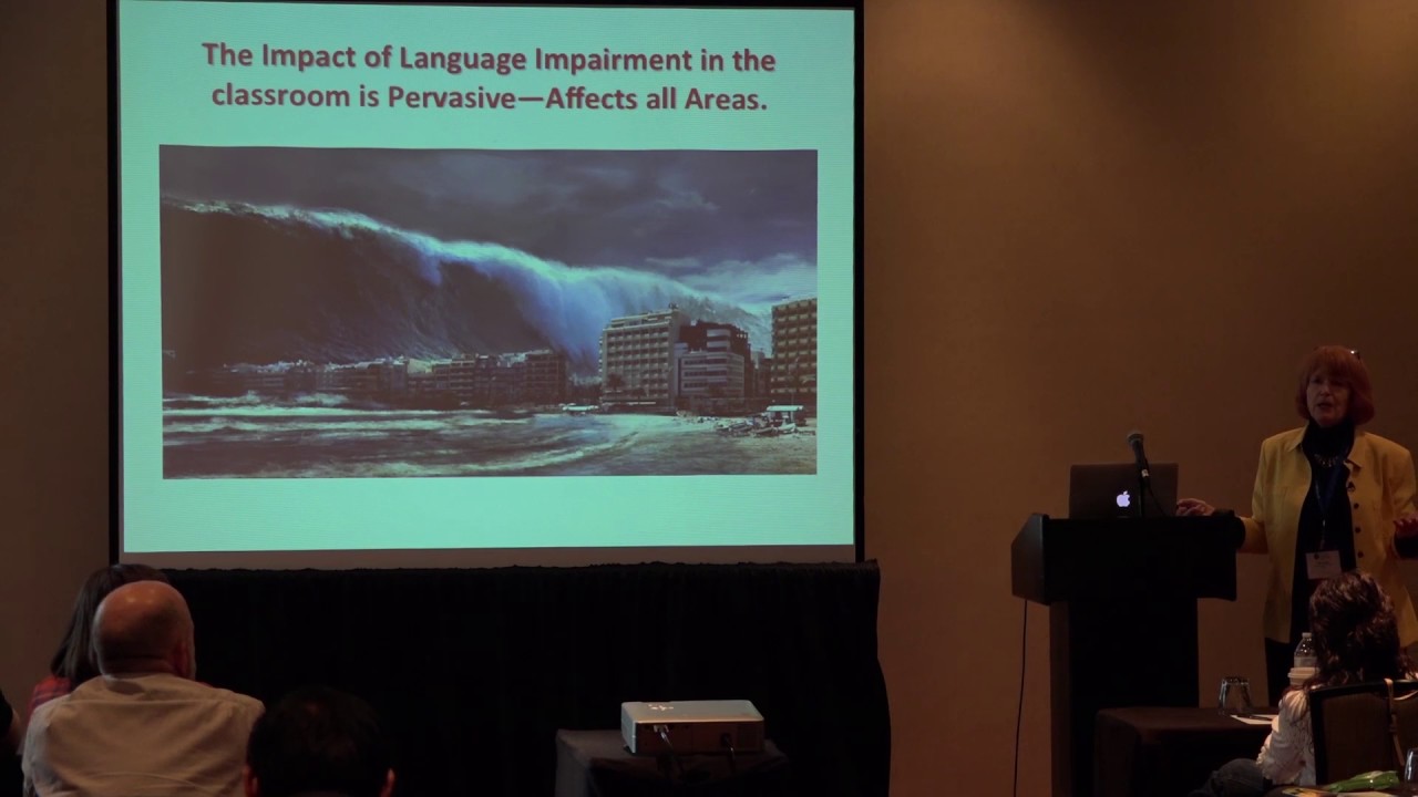 Developmental Language Delays and Success in Classroom