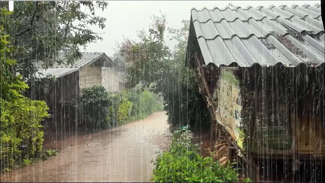 ฝนถล่มหนัก ส่งพ่อกลับบ้าน กินข้าวกระท่อมพี่เขย เกือบโดนมงูเขียวกัด