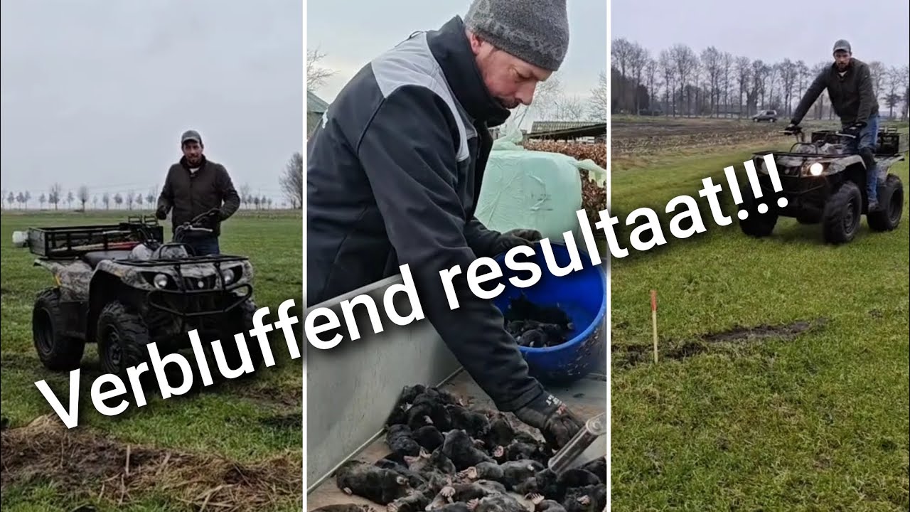 ONGELOOFLIJK, WAT EEN RESULTAAT tijdens het mollen vangen!!! | Boer Gerrit vlogt 
