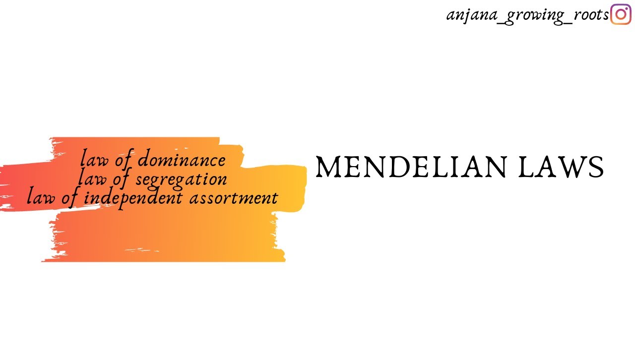 Mendelian laws - Malayalam | laws Of Inheritance | Dominance | Segregation | Independent Assortment