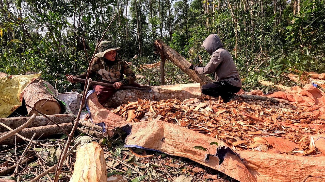 พาแม่พีมไปเฮัดงาน🥰🥰