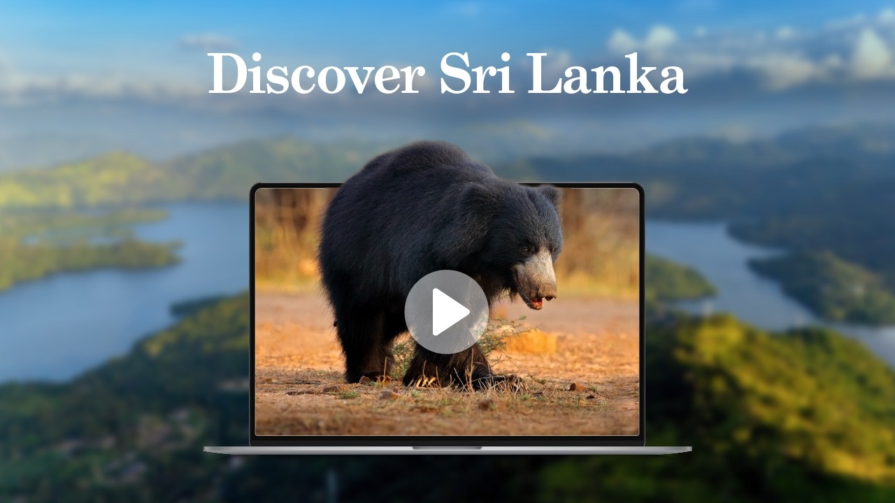 Discover Sri Lanka’s Scintillating Wildlife