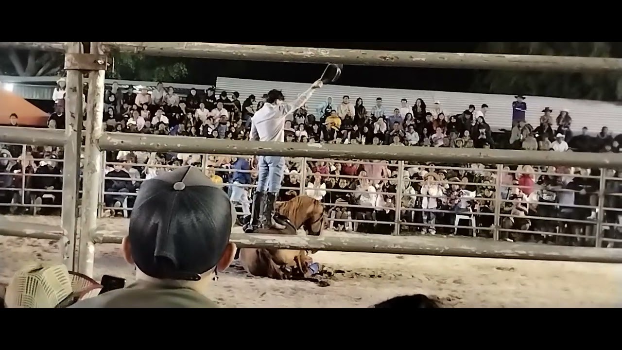 Caballo alta escuela lourdes 2026 parte 2