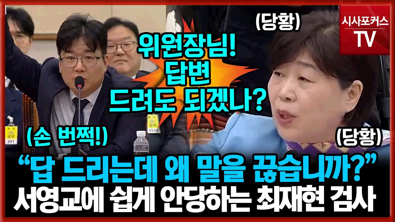 서영교 막무가내에 기죽지 않는 최재현 검사 