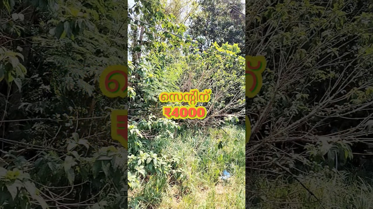സ്ഥലം വാടകക്ക് landforrent#youtubeshorts #realestate #synergycreation #