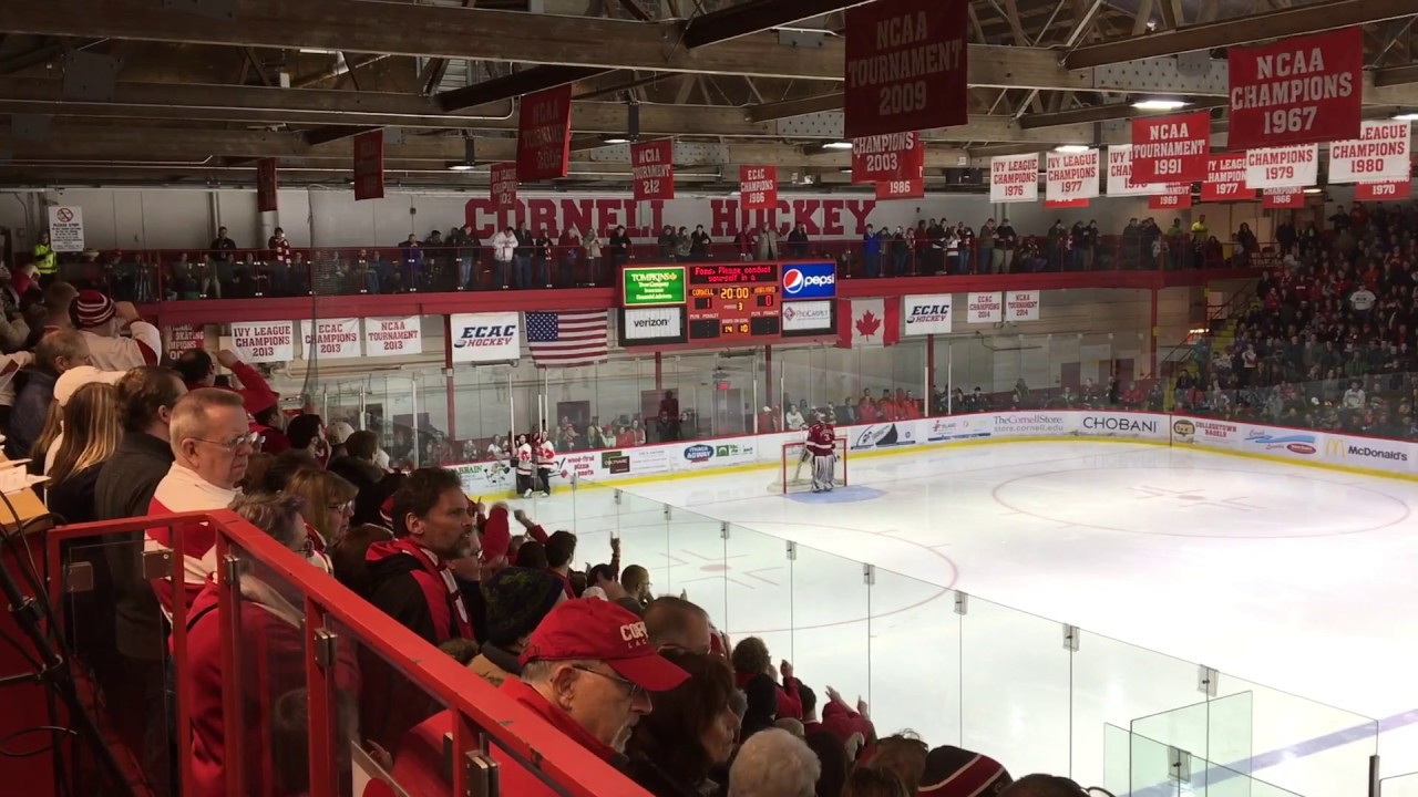 Harvard vs. Cornell - Fish Throwing and Sieve Chant (2017)
