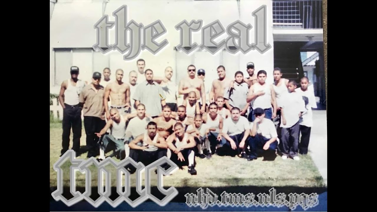 TMC ALISO VILLAGE, DINO INTERVIEW, TALKS  GANG WARS, FED CASE, FATHER GREG, GOD, AND MORE.