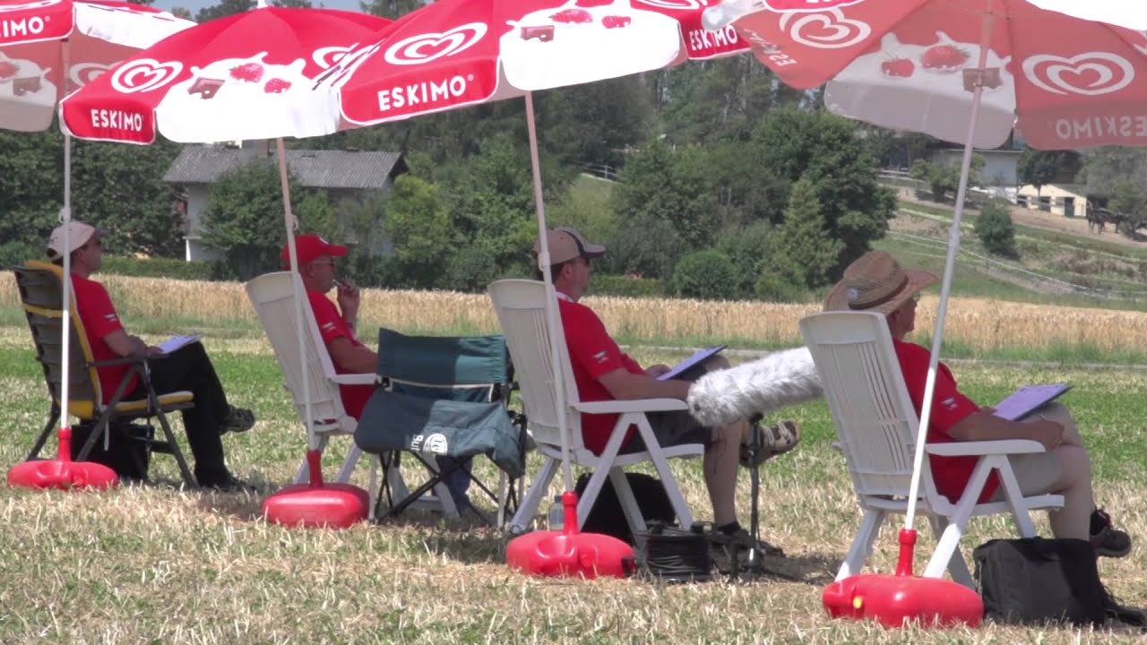 2015 FAI World Championships 1. Preliminary F3C & F3N - AEWOtv