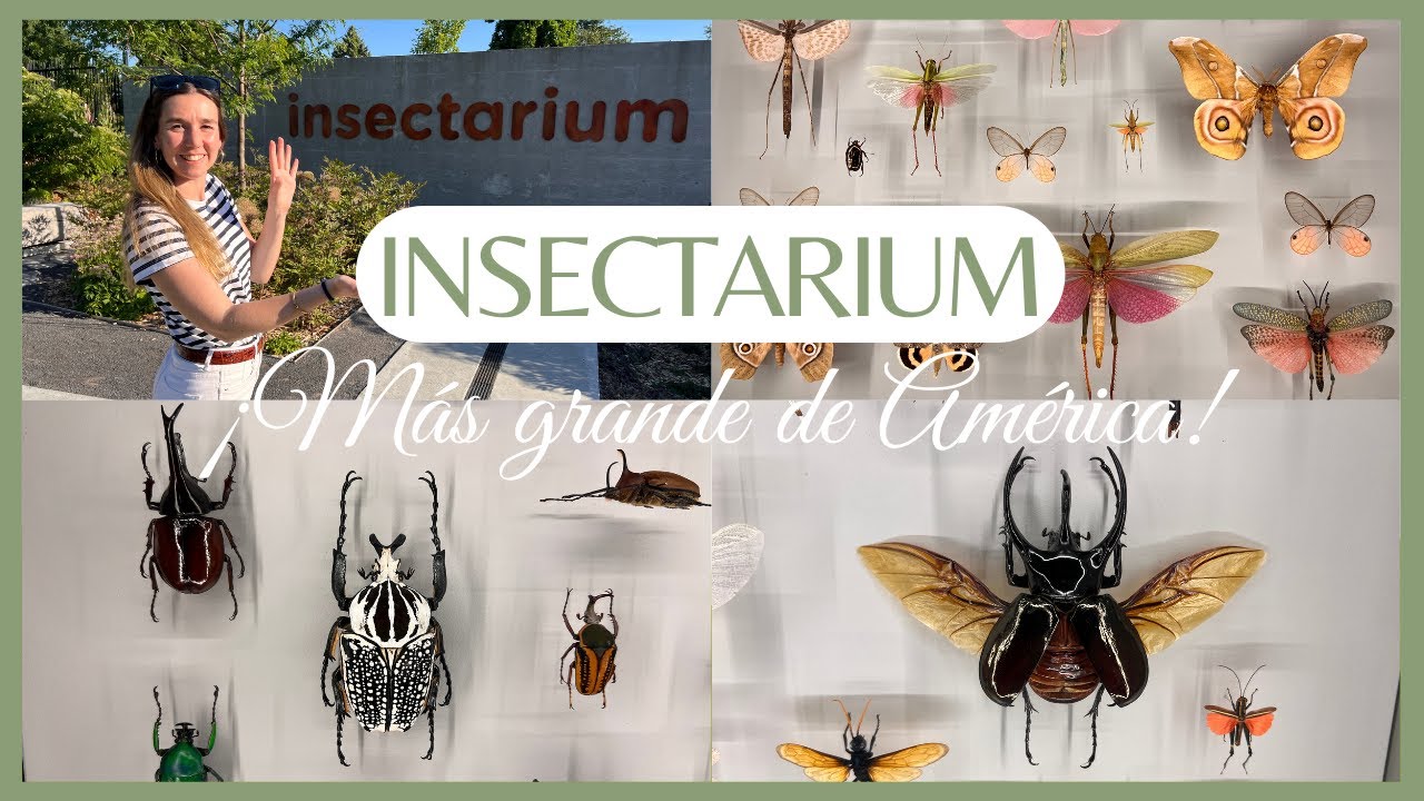 CÓMO ES el INSECTARIO MÁS GRANDE de AMÉRICA. Así es | CURIOSIDADES sobre INSECTOS 👩🏼‍💻🐴🌿🐑 Laura Raya