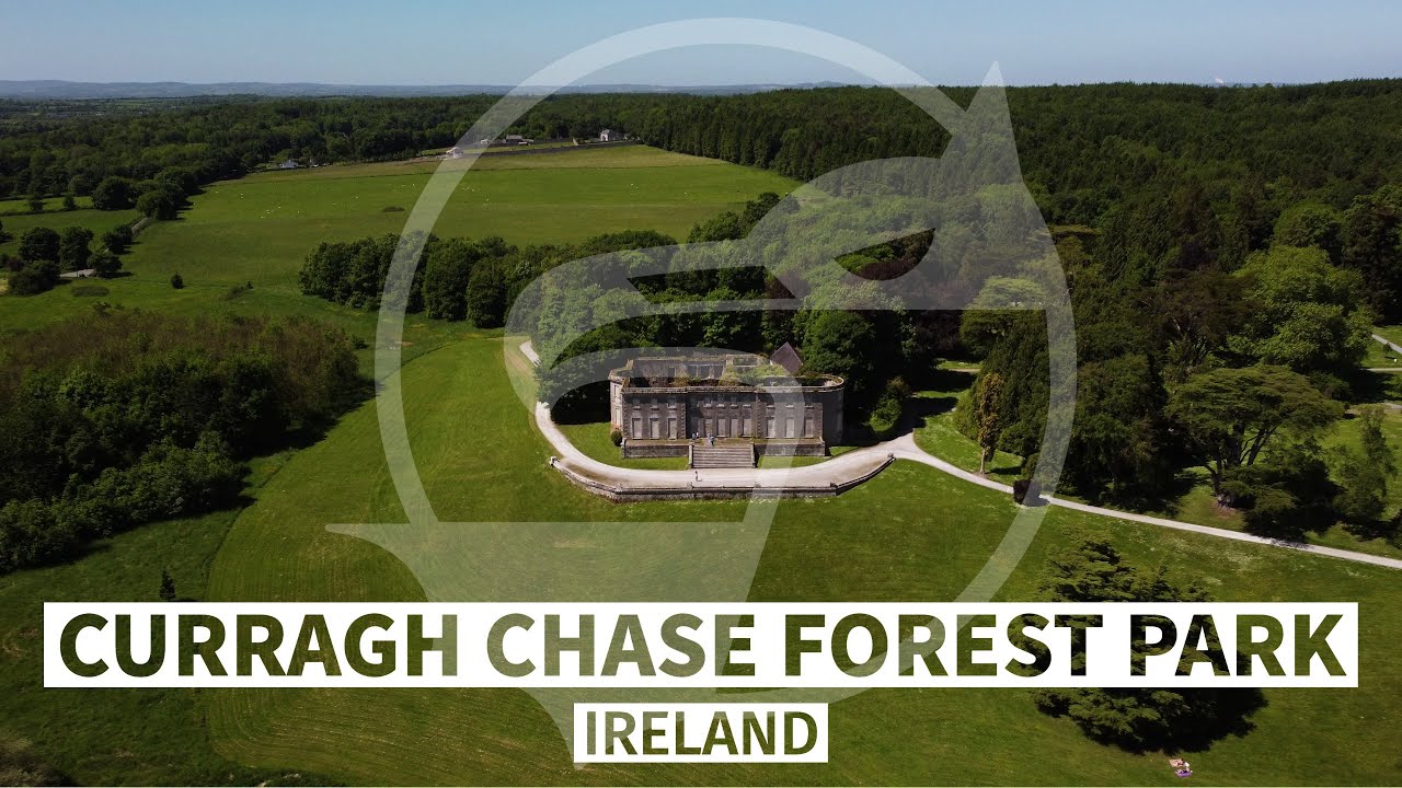 Curragh Chase Forest Park 🇮🇪 Ireland 4K footage