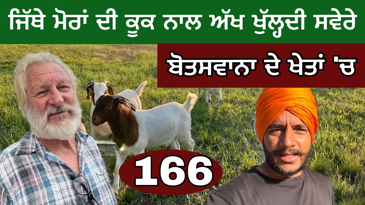 ਜਿੱਥੇ ਮੋਰਾਂ ਦੀ ਕੂਕ ਨਾਲ ਅੱਖ ਖੁੱਲ੍ਹਦੀ ਸਵੇਰੇ। ਬੋਤਸਵਾਨਾ ਦੇ ਖੇਤਾਂ ‘ਚ। Very Far in Africa ।