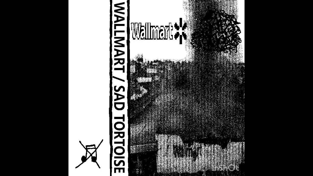 Wallmart / Sad tortoise split (Harsh Noise Wall) 2025