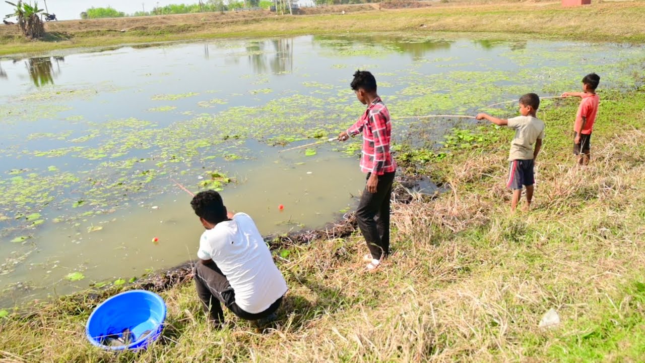 Fishing Video || Four smart skilled boys is fishing in the village pond using hook | Amazing Fishing