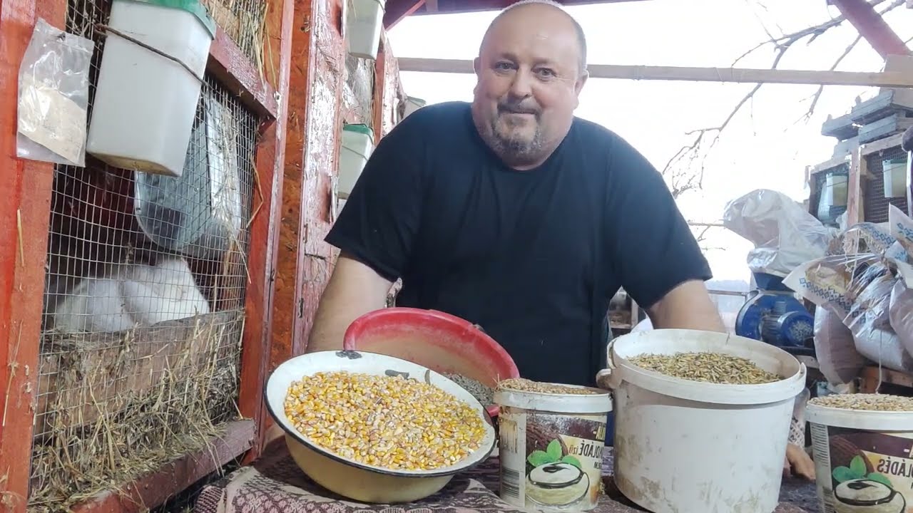 A gazdaságos etetés titka- avagy milyen aranyokban keverjük a különböző terményeket és a nyúl tápot!