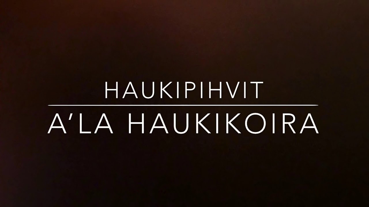 Haukipihvit a’la Haukikoira