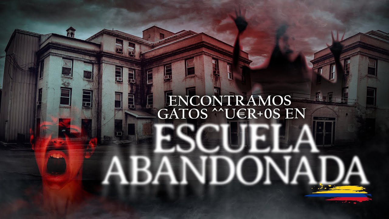 Encontramos Restos de Gatos en Escuela Abandonada