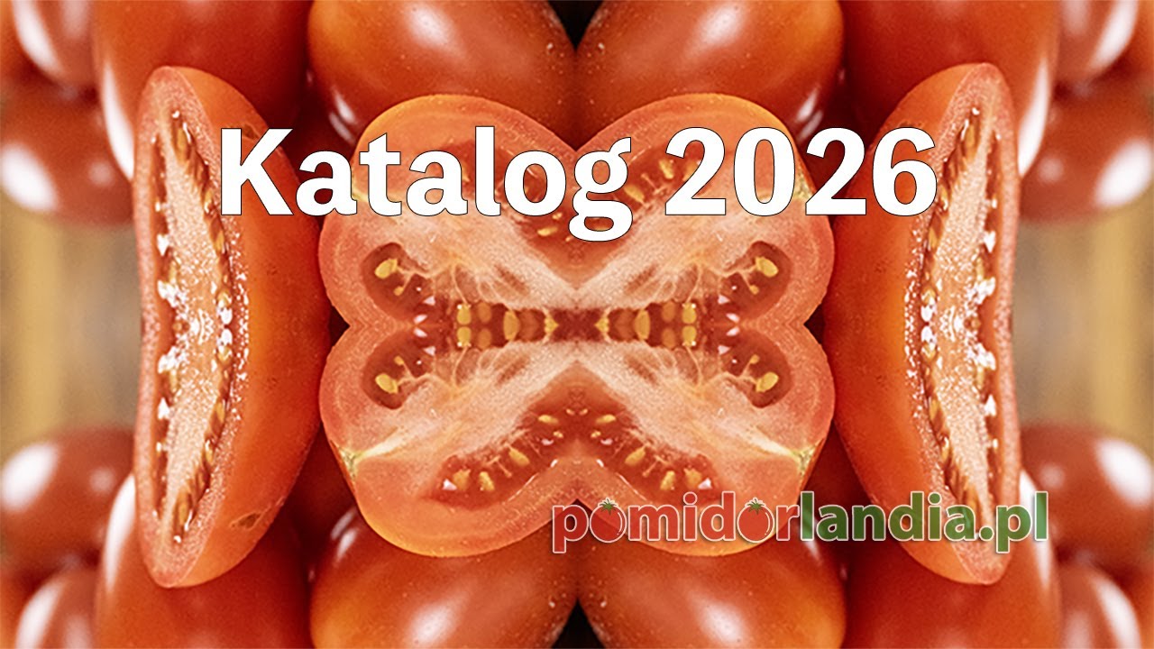 Katalog 2026 - premiera
