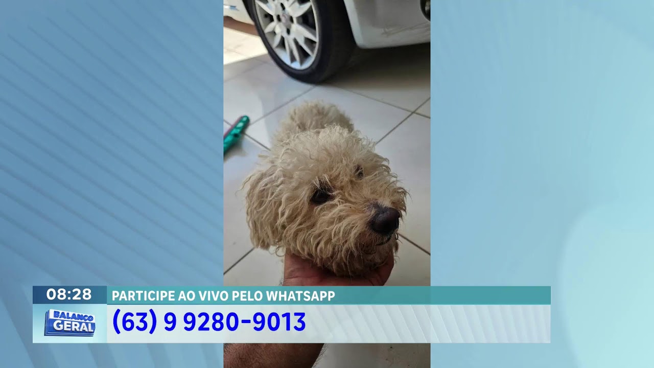 PROGRAMA BALANÇO GERAL | AO VIVO COM LUCAS LIMA