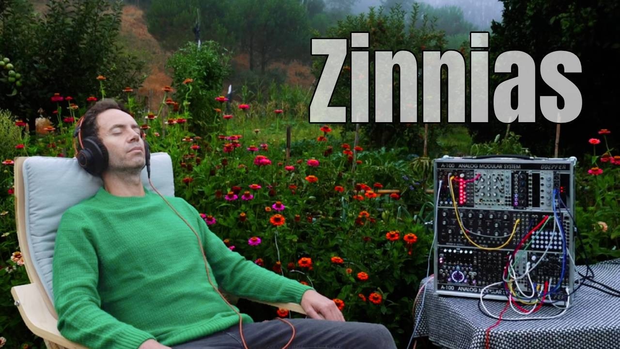 Zinnias Real Plant Music That Awakens Your Morning Energy 🌞 | Theta Meditation 432Hz
