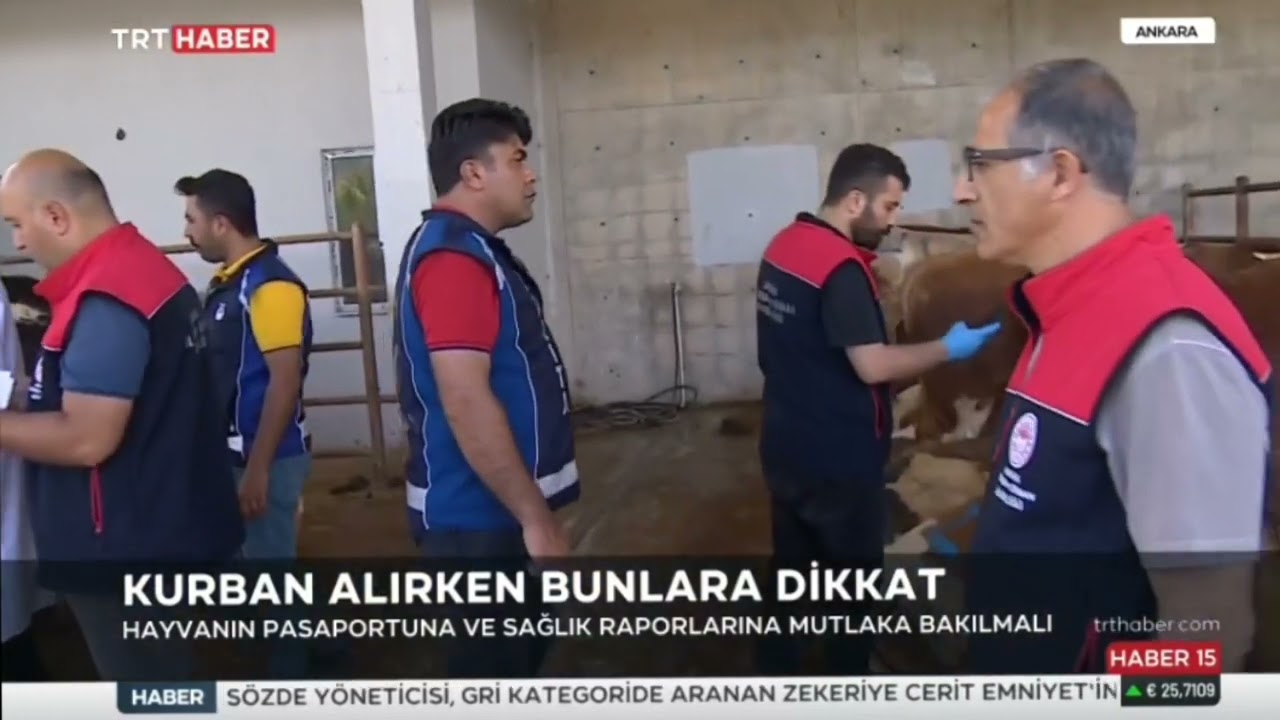2023 Yılı #KurbanBayramı'na Yönelik Kurban Pazarı Denetimi #TRTHaber