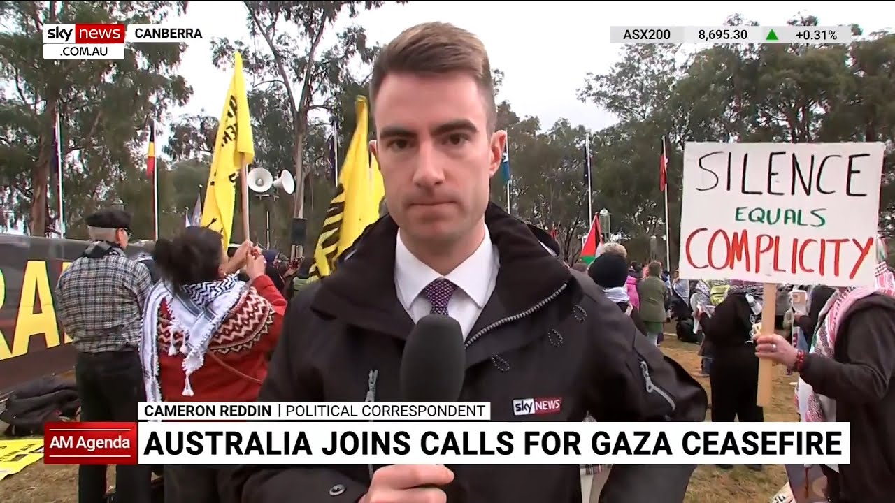 Pro-Palestine protesters converge at parliament