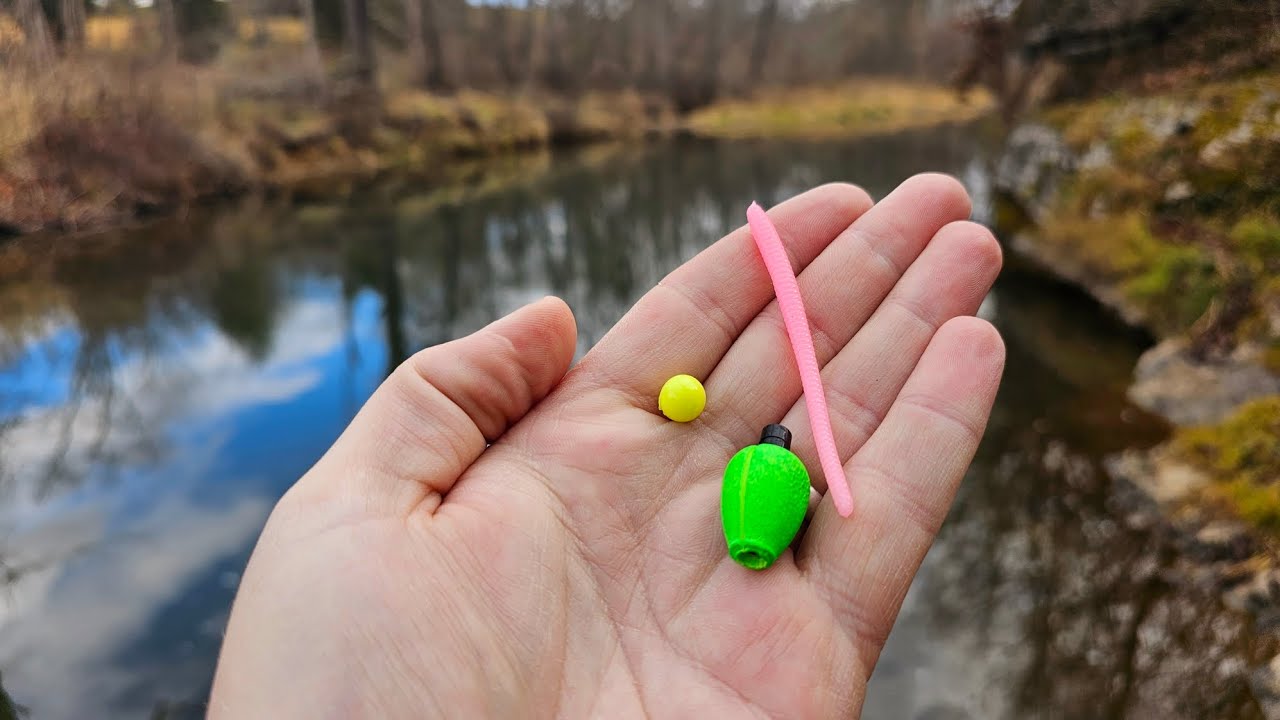 Catch MORE TROUT This WINTER with These Tips || Trophy Trout Fishing!!
