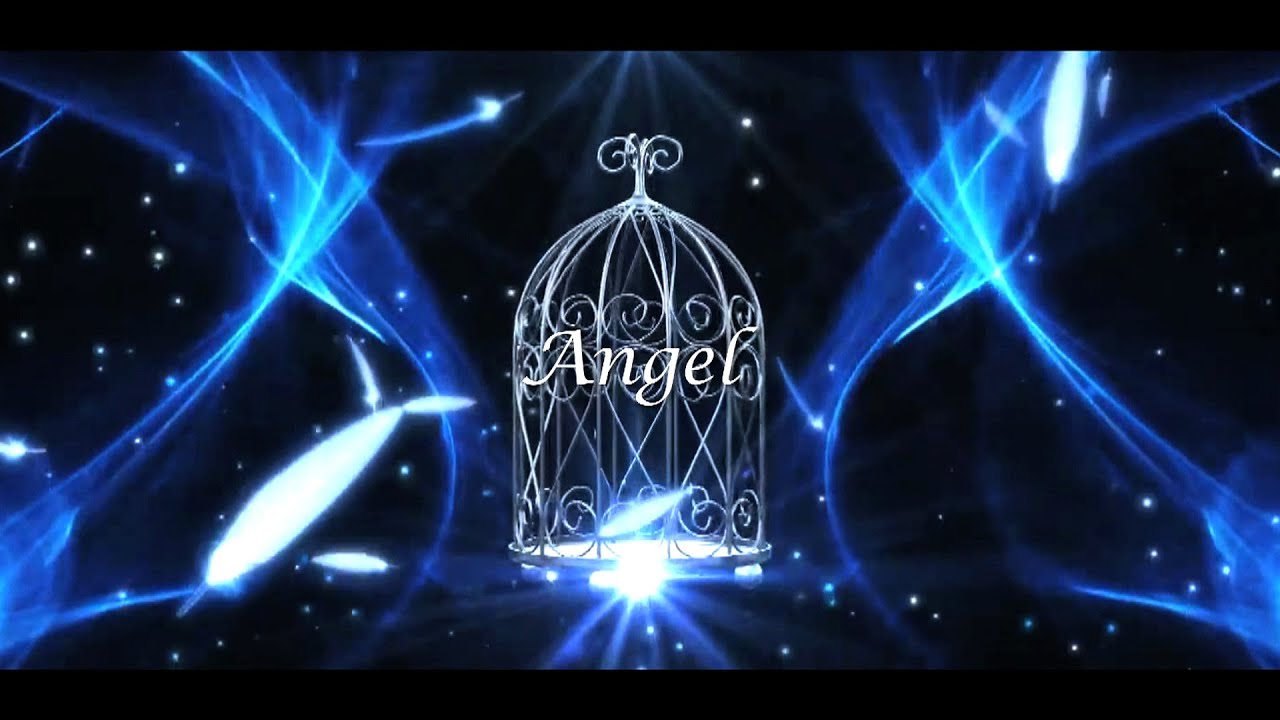 TAMTAM / Angel （Official Music Video）