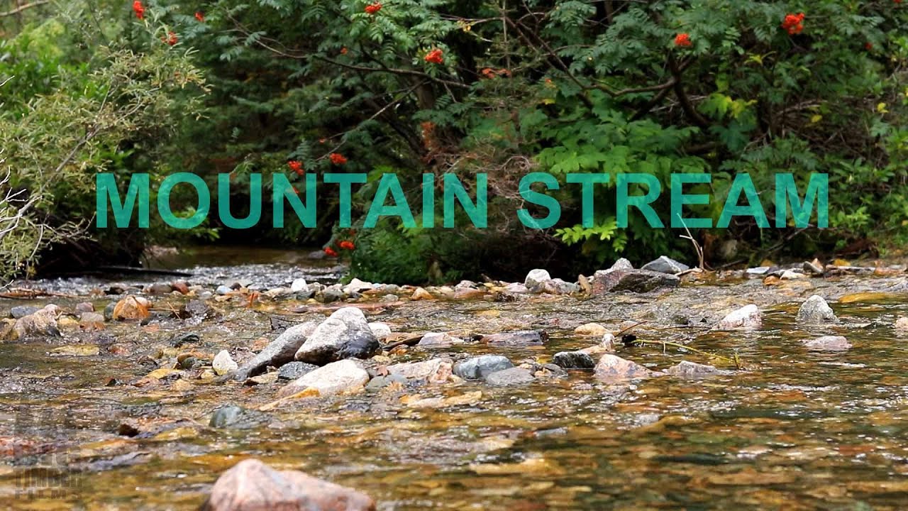 Scenics | Mountain Stream Ambience