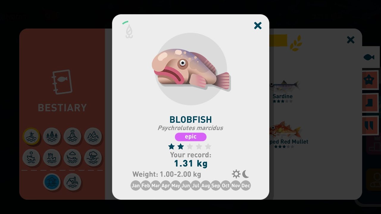 Creatures of the Deep - Blobfish