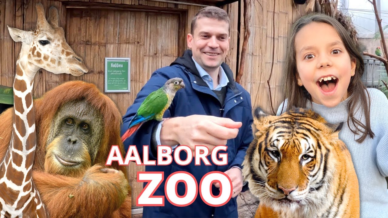 Sjov dag i AALBORG ZOO  🦧🤪🐒🦒Isbjørn tror den kan spille basketball🏀😂 | Video for børn på dansk