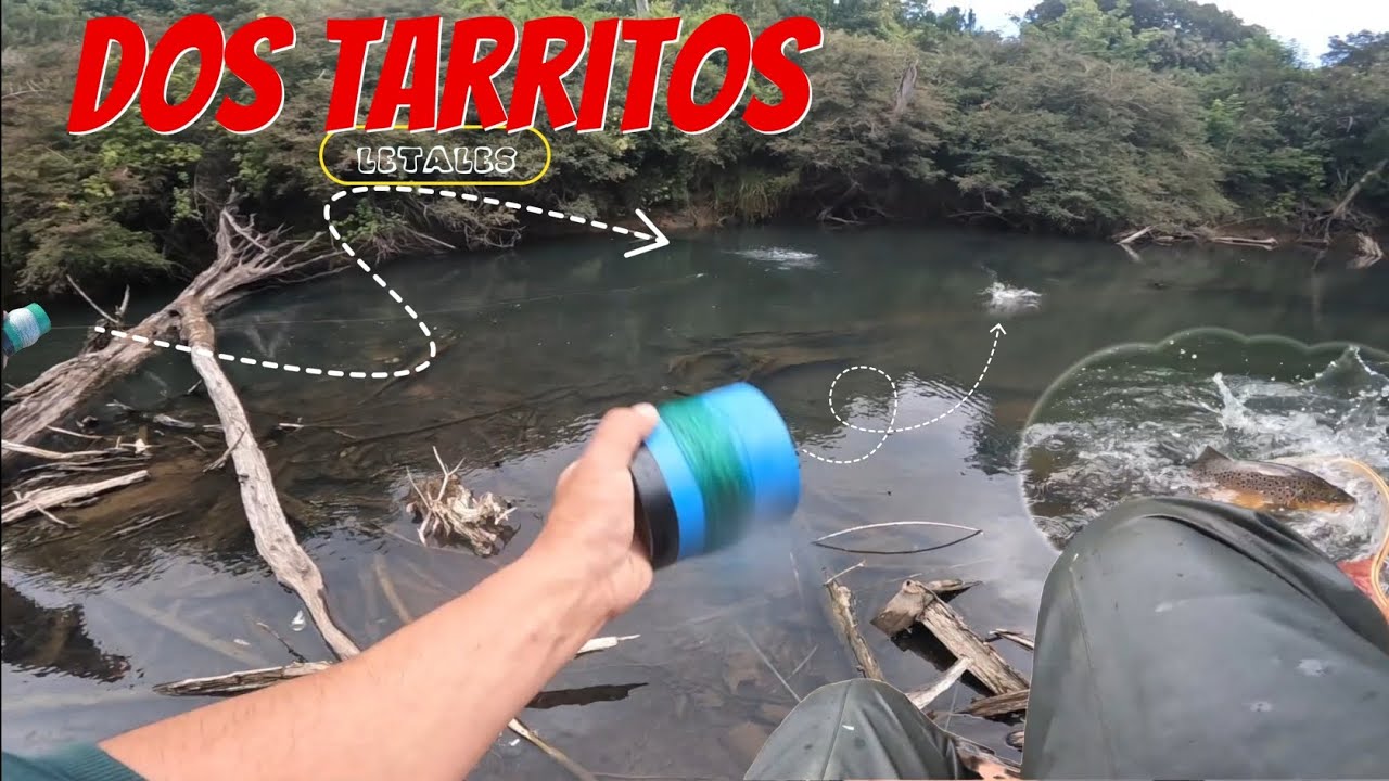 Pesca de Truchas Farios y Exploración de rio qué tenia una montaña de basura😡PUERTOMONTT CHILE#fish