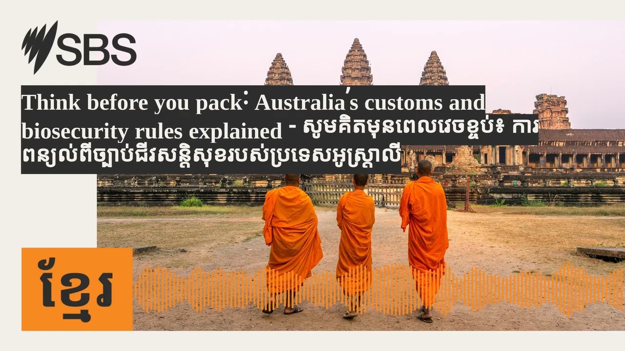 Think before you pack: Australia’s customs and biosecurity rules explained -...