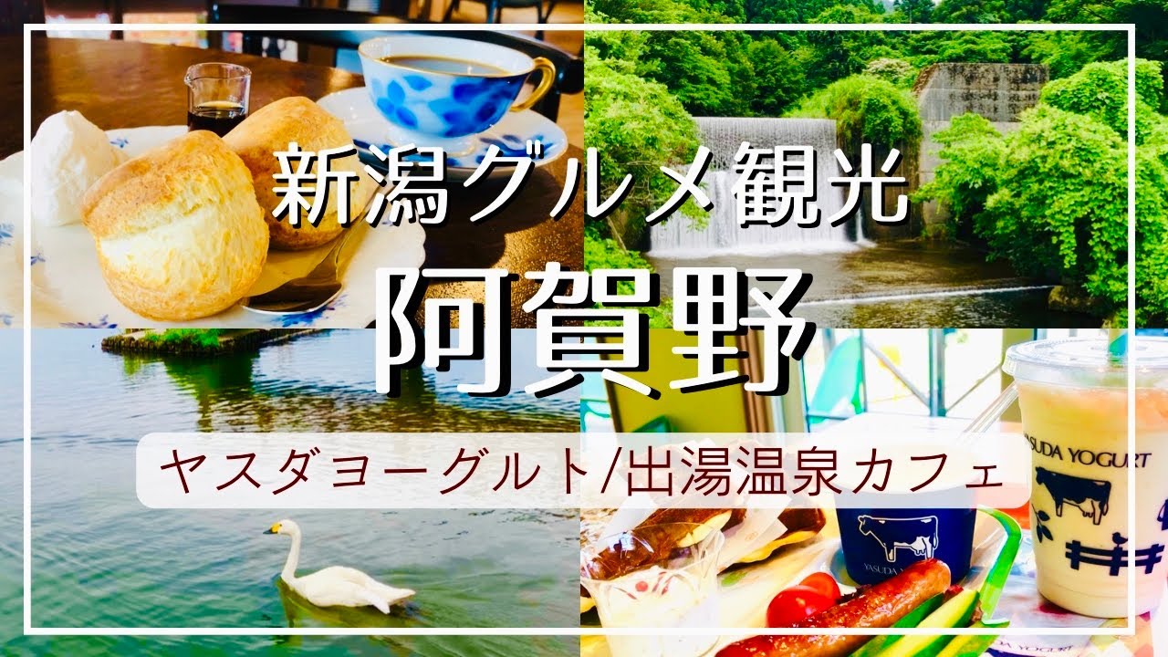 【新潟観光】阿賀野ヤスダヨーグルトの焼き立てワッフル/県内最古の温泉地で古民家カフェ/瓢湖で白鳥を眺める【vlog】
