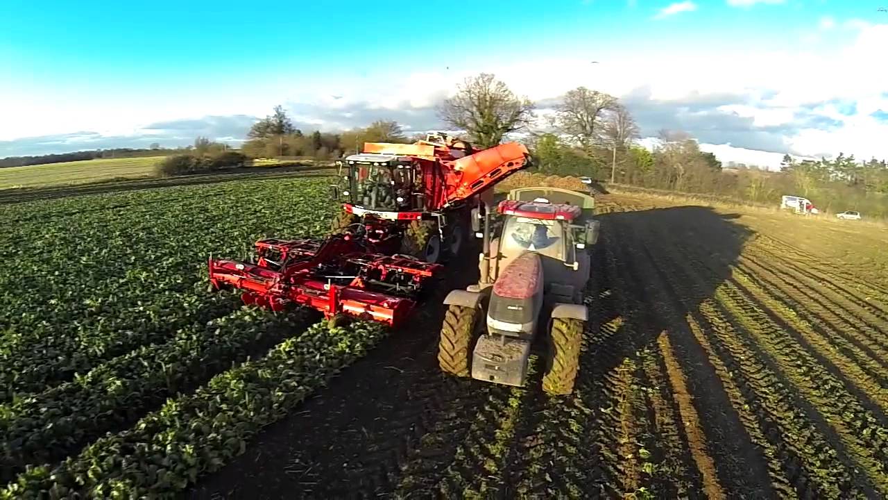 Agrifac 12 row sugar beet harvester HexxTraxx