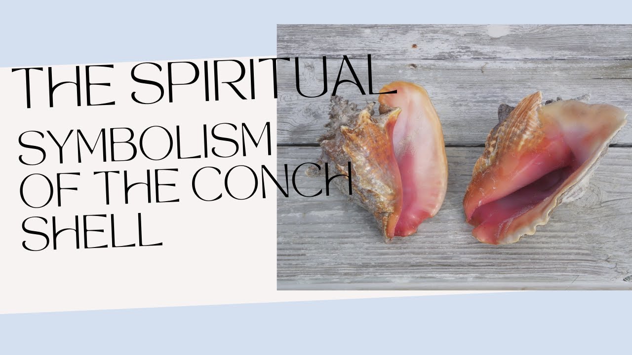 The Spiritual Symbolism of the Conch Shell